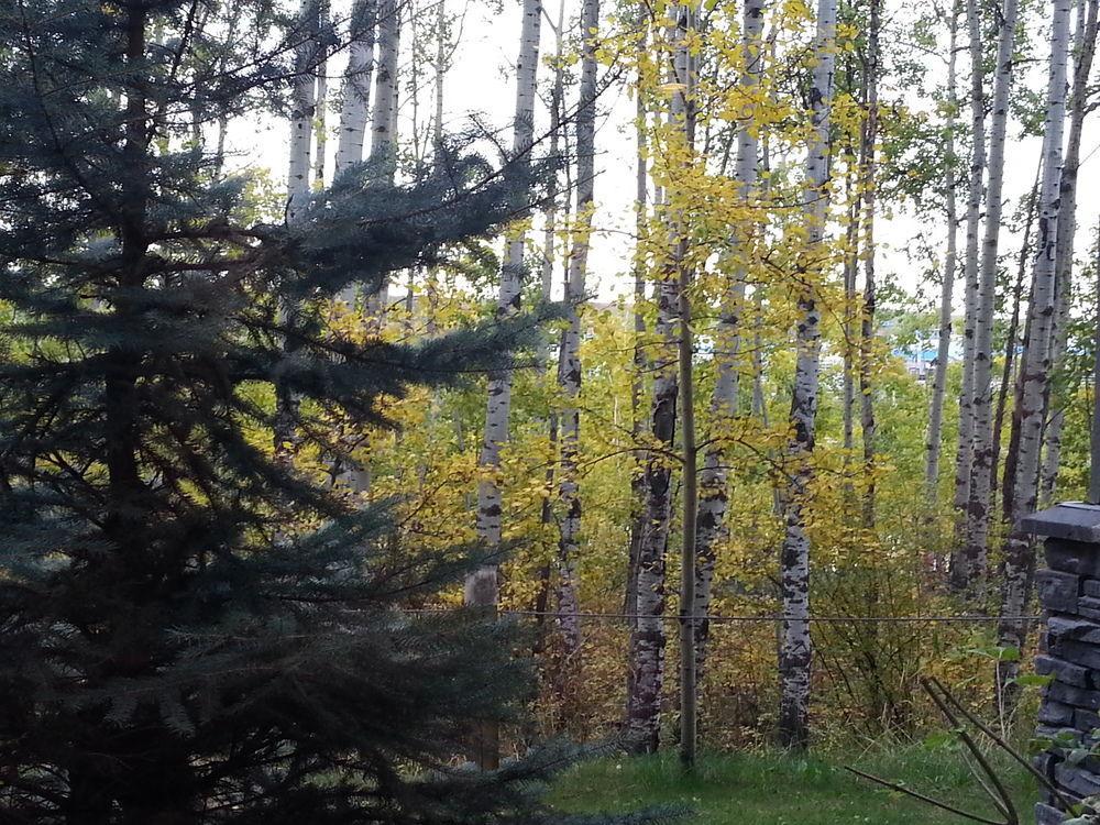 Pinnacle Inn & Suites Aspen YYC Buitenkant foto